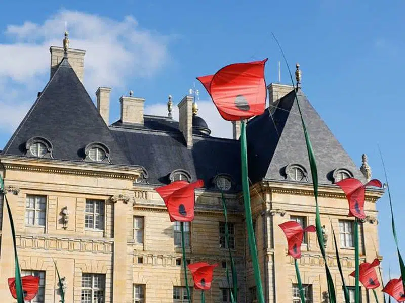 Lire la suite à propos de l’article Les Coquelicots à Vaux-le-Vicomte