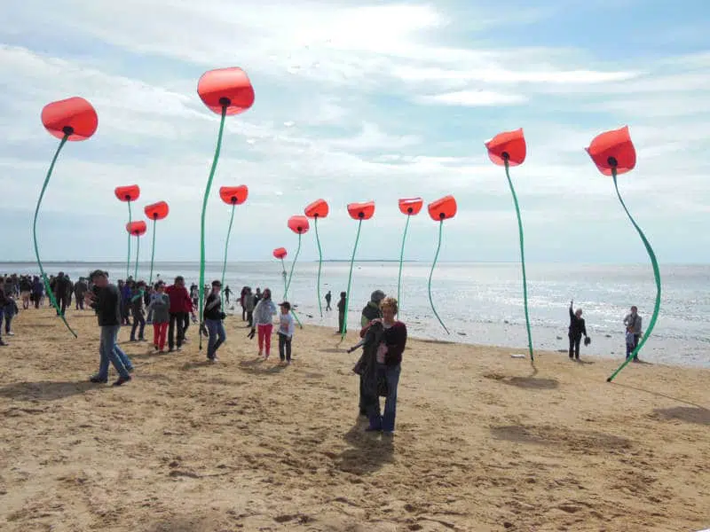 Coquelicots Cerfs-Volants au festival international de Châtelaillon-Plage