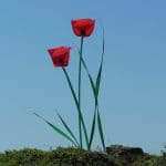 Mobiles Coquelicots