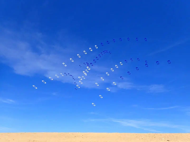 Alain Micquiaux, cerfs-volants d'art et art volant