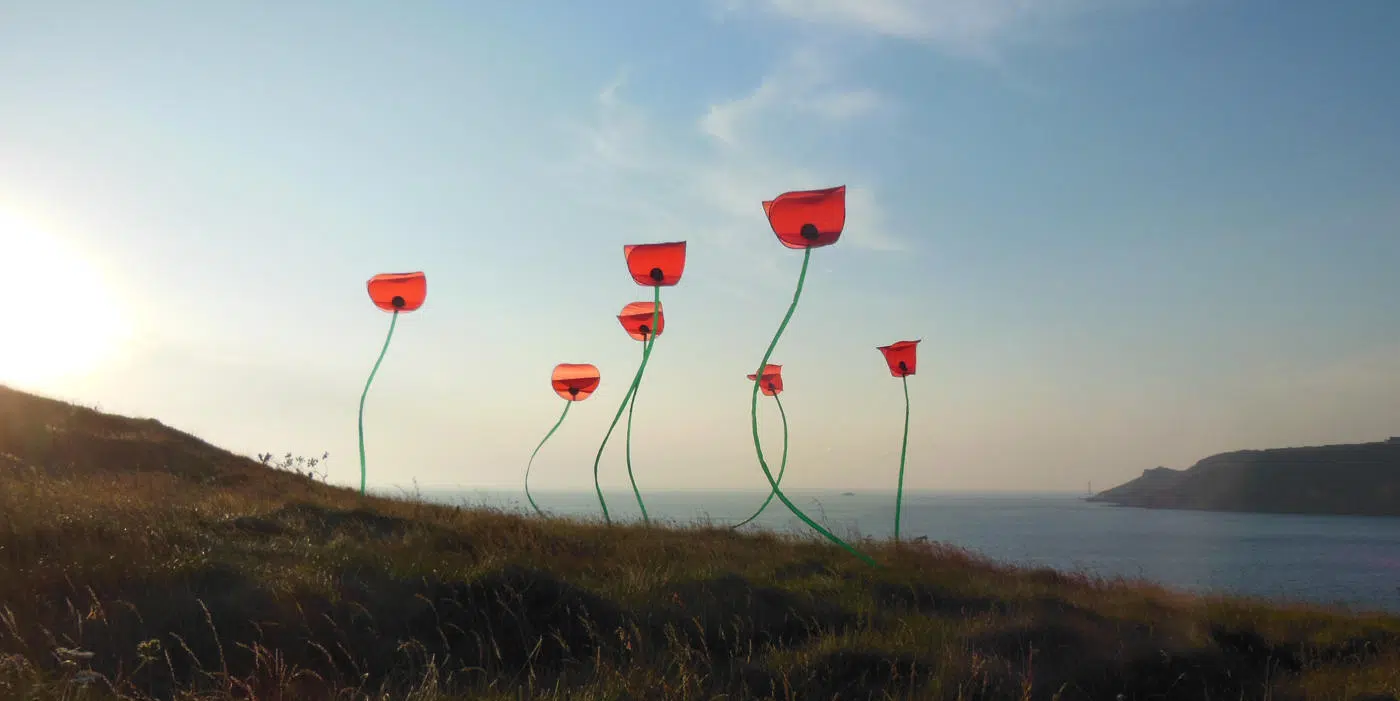 Cerfs-Volants Coquelicots