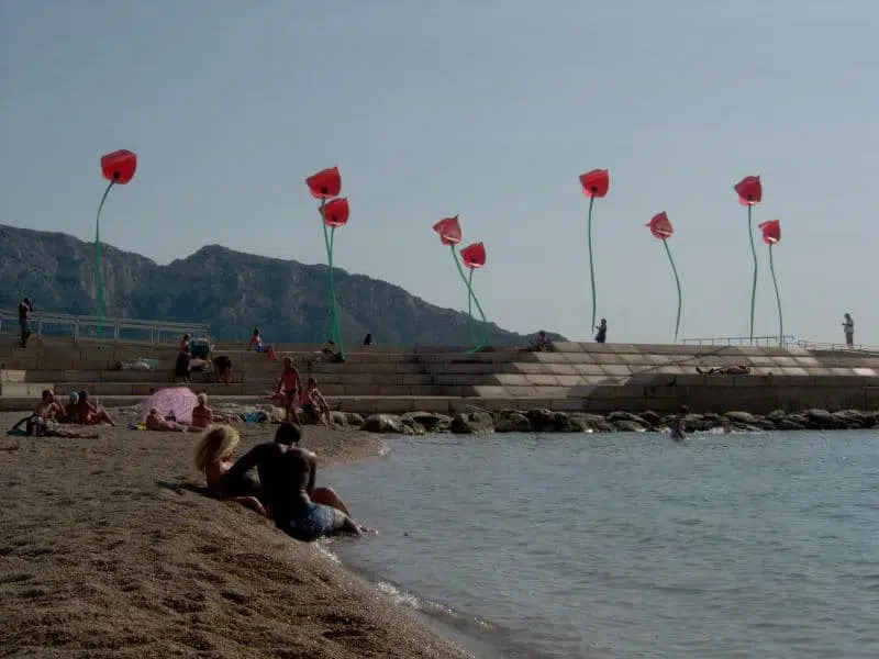 Bouquet de Coquelicots à la fête du vent de Marseille