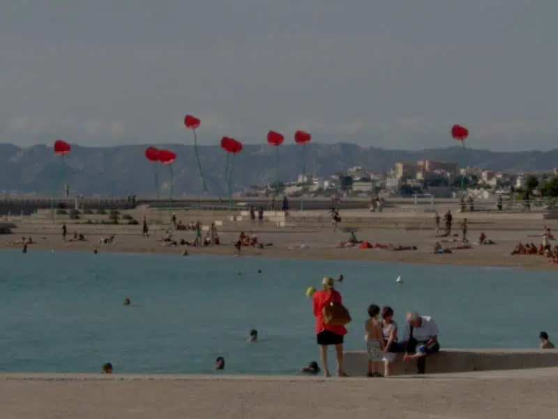 Bouquet de Coquelicots à la fête du vent de Marseille