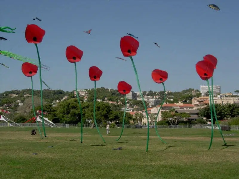 Bouquet de Coquelicots à la fête du vent de Marseille