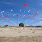 Port des Barques 2016