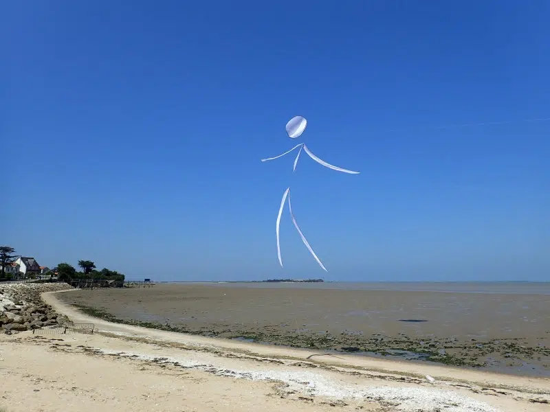 Art Volant par Alain Micquiaux