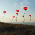 Coquelicots Volants