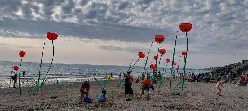 Les Coquelicots aux envols de Pénestin