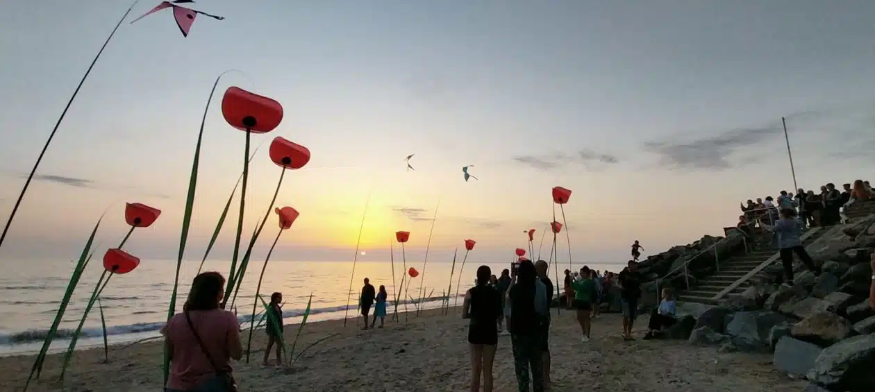 Couché de soleil aux envols de Pénestin