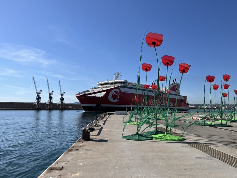 Saison Méditerranée Marseille